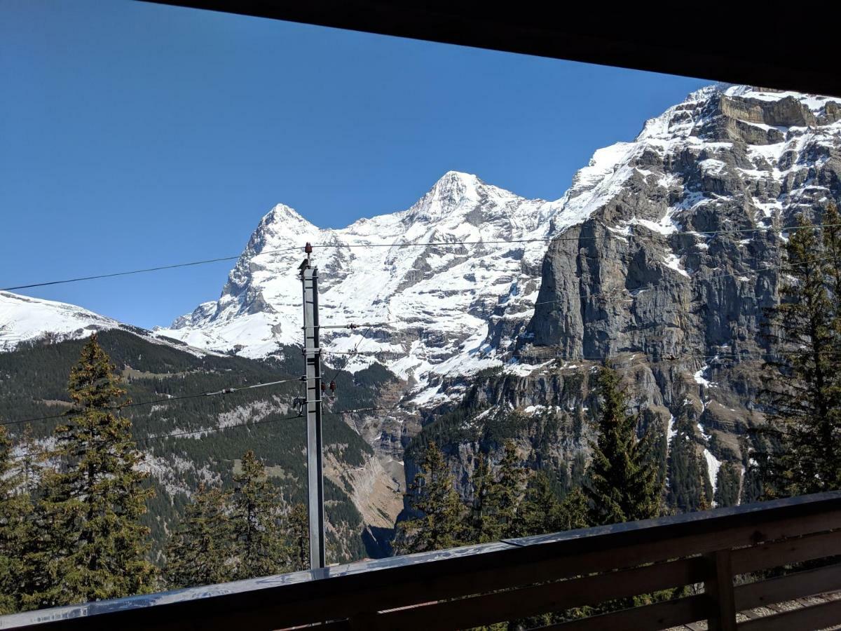 Hotel Alpenblick Muerren Exteriér fotografie