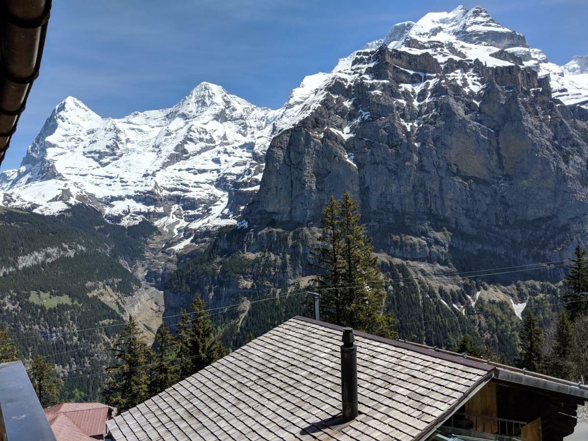 Hotel Alpenblick Muerren Exteriér fotografie